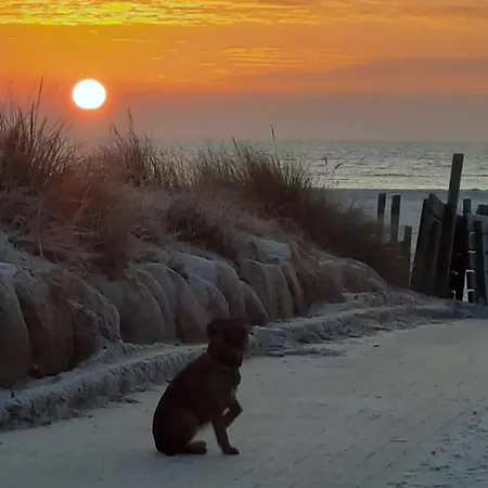 Meerruhe Burgtiefe auf Fehmarn Exterior foto